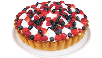 �t���b�V���x���[�̃^���g